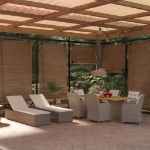 Set da Pranzo da Giardino 9 pz in Polyrattan Marrone