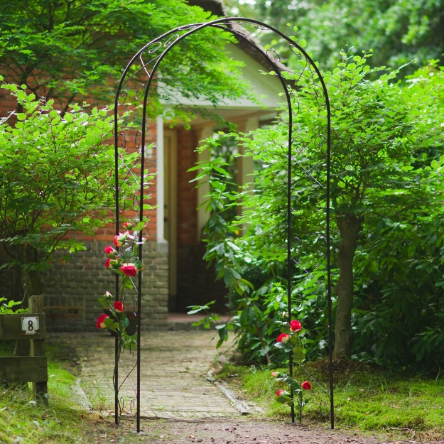 Arco da giardino romantico per rampicanti