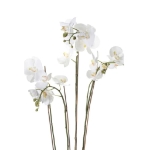 Emerald Orchidea Artificiale con Muschio Bianca 90 cm 20.355