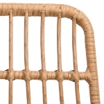 Sedie da Giardino 2pz 48x62x84 cm Rattan PE