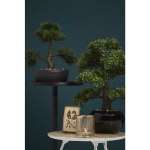 Emerald Ficus Artificiale Mini Bonsai 47 cm 420006 Verde