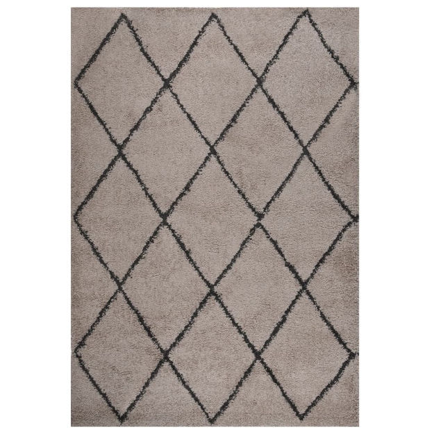 Tappeto Shaggy a Pelo Alto Beige e Antracite 160x230 cm