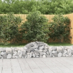 Cesti Gabbioni ad Arco 2 pz 200x30x40/60 cm Ferro Zincato