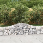 Cesto Gabbione ad Arco 200x30x40/60 cm Ferro Zincato