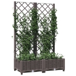 Fioriera da Giardino con Graticcio Marrone 80x40x121,5 cm in PP