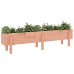 Fioriera Rialzata Giardino 160x30x38 cm Legno Massello Douglas