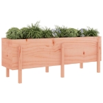 Fioriera Rialzata Giardino 160x50x57 cm Legno Massello Douglas