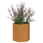 Fioriera Ruggine 40x40x45 cm Acciaio Corten