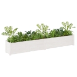 Fioriere da Giardino 2 pz Bianche 200x31x31 cm Massello di Pino