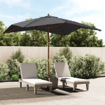 Ombrellone da Giardino con Palo in Legno Nero 300x300x273 cm