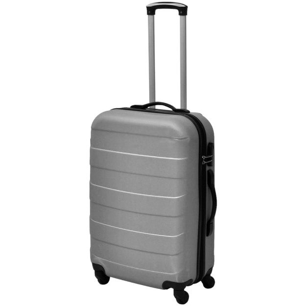 Set Trolley Rigidi 3 pz Argento 45,5/55/66 cm