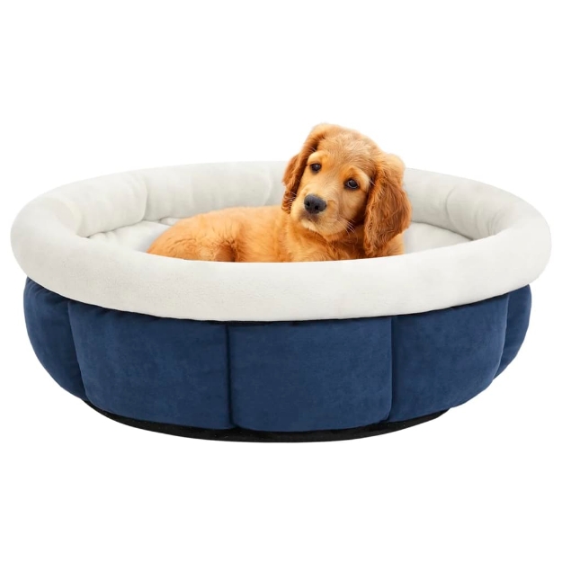 Cuccia per Cani 59x59x24 cm Blu