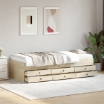 Divano Letto con Cassetti senza Materasso 100x200 cm