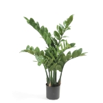 Emerald Zamioculcas Artificiale 70 cm