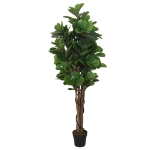 Albero Ficus Lyrata 232 Foglie 180 cm Verde