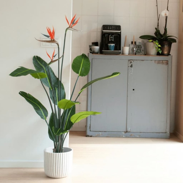 Emerald Strelitzia Pianta Artificiale in Vaso con Fiori 120 cm