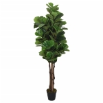 Albero Ficus Lyrata 180 Foglie 150 cm Verde