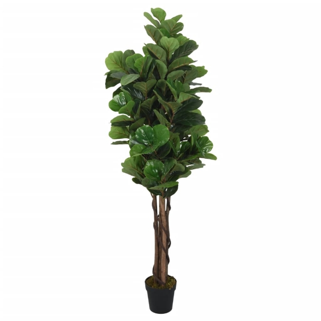 Albero Ficus Lyrata 180 Foglie 150 cm Verde