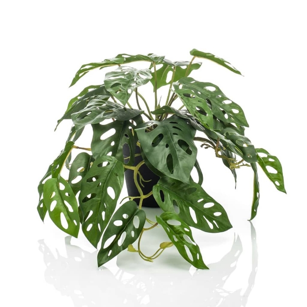 Emerald Cespuglio Artificiale di Monstera Monkey 55 cm in Vaso