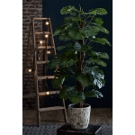 Emerald Monstera Artificiale con Palo 150 cm