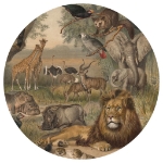 WallArt Carta da Parati Circolare Animals of Africa 142,5 cm